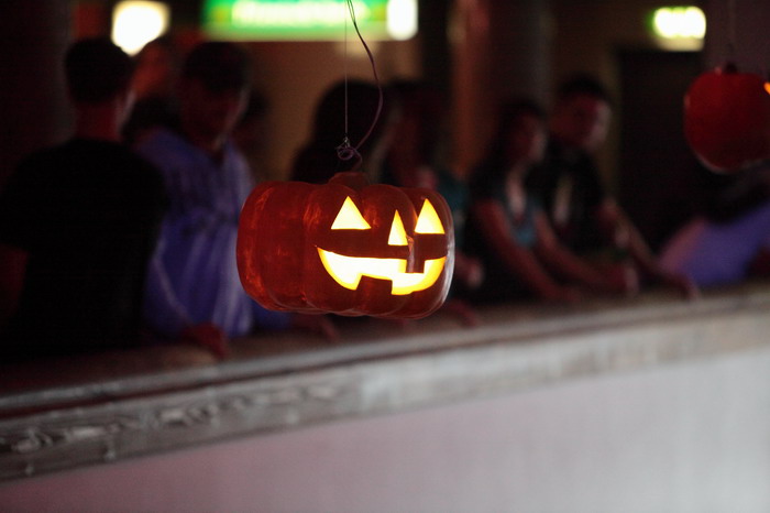 ../Images/Bild063.jpg